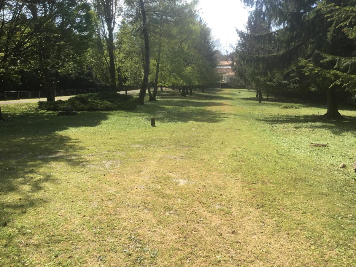 Les Pierrottes Villa Mornac ภายนอก รูปภาพ
